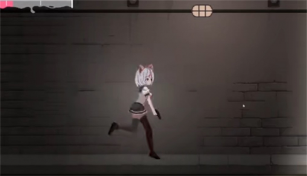 14143029b1pp.png
