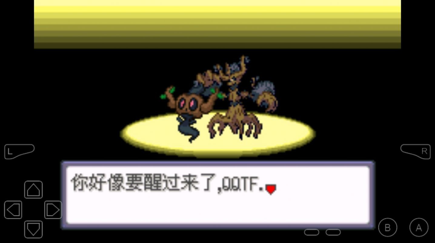 01145843zamv.jpg