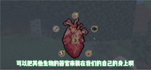 20240828025117404.png
