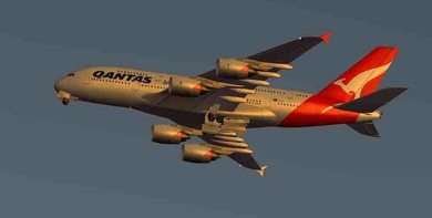19153253flyz.png