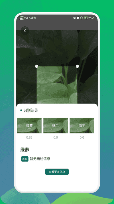 2aaa8696b3b144b896f8581d298cbb71.png