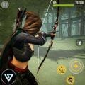 忍者射手刺客(Ninja Archer 2018)