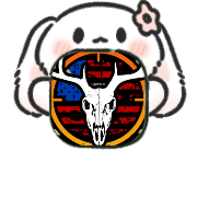 美国射手