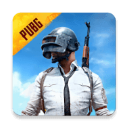 地铁逃生测试服(BETA PUBG MOBILE)