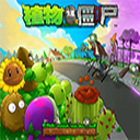 植物大战僵尸95版(植物大战僵尸95版安装器)