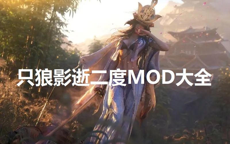 只狼影逝二度MOD大全