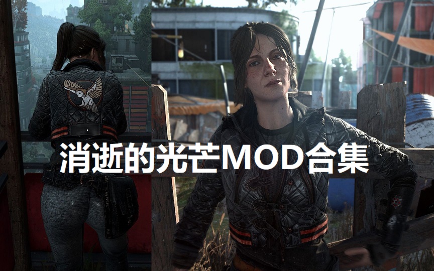 消逝的光芒MOD合集