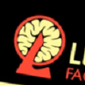 脑叶公司(L.Corporation)