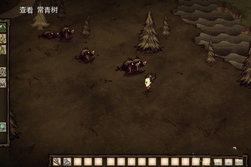 饥荒新手攻略3