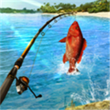 钓鱼冲突(FishingClash)