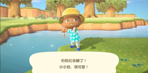 动物森友会手游游戏攻略3