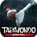 跆拳道大奖赛(Taekwondo)