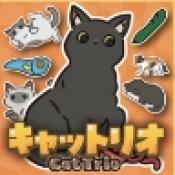 猫咪三重奏(CatTrio)