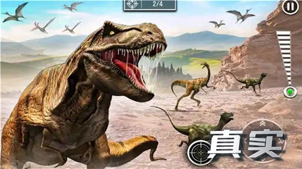 20250923110617498.jpg 1758592254858246.jpg