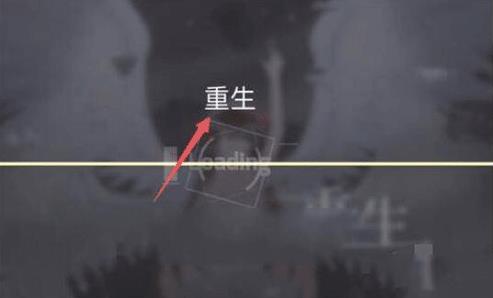 20251121113638540.jpg 20251121085003_74654.jpg