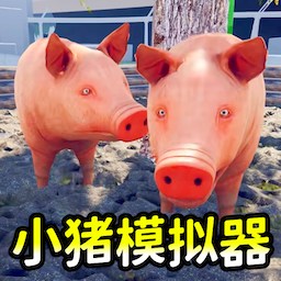 小猪开派对
