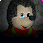 刺猬的五夜后宫