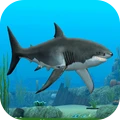鲨鱼模拟器3D
