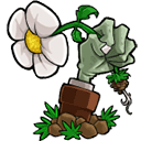 pvz重植版1.0.3汉化版最新版本