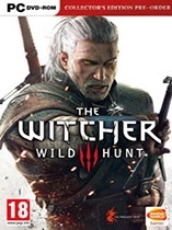 巫师3狂猎浅水中跳跃MOD