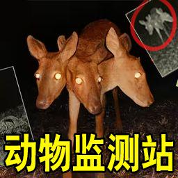 恐怖动物园探险