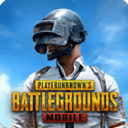 地铁逃生单机版((PUBG MOBILE))