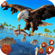 野生鸟类生活模拟器(野生鸟类生活模拟器安装器)