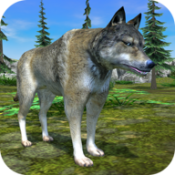 狼模拟器(Wolf Simulator Evolution)