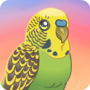 鸟类世界(Bird Kind)