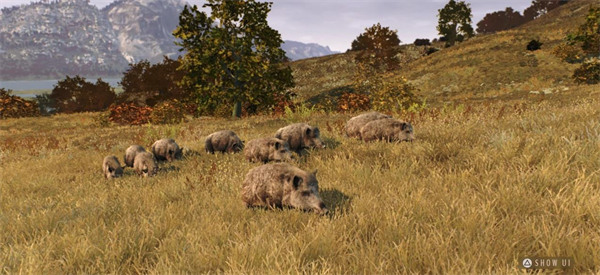 20260117102658917.jpg t4o26y-94f.jpg