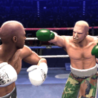 真实拳击对决