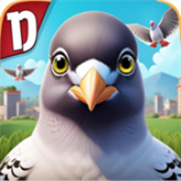 pigeonpop