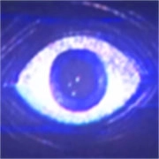 波比的游戏时间第五章自制版(Poppy Playtime: Chapter 5 Fan)