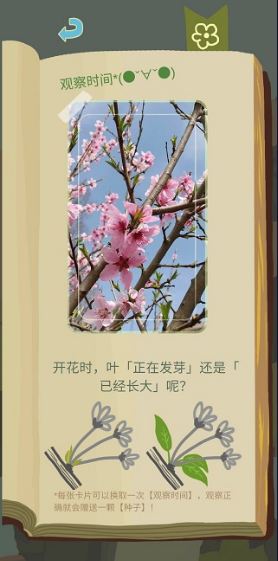 老农种树星座冬季