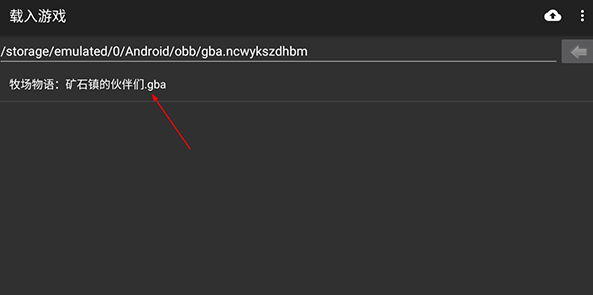 牧场物语矿石镇的伙伴们完美版