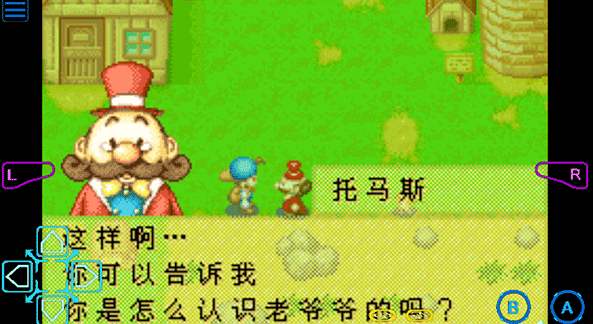 牧场物语矿石镇的伙伴们完美版