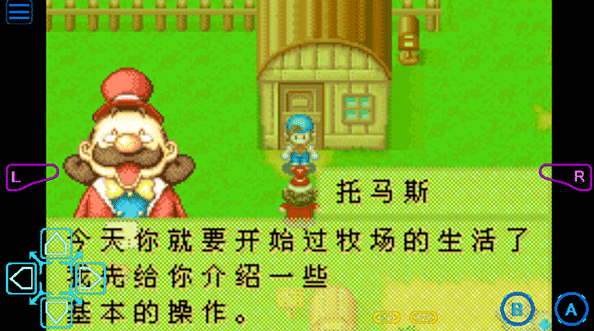 牧场物语矿石镇的伙伴们完美版