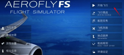 全球飞行模拟器