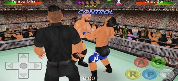 摔角革命完整版
