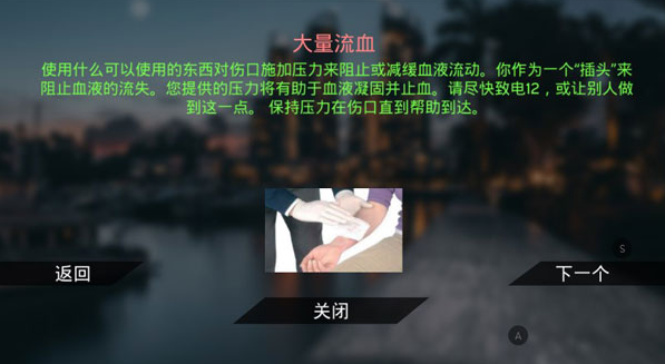 真实泊车2菜单版