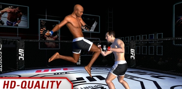 ufc终极格斗冠军赛